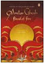 Cover of Flood of Fire