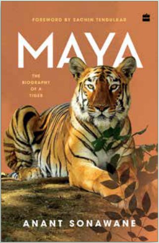 Cover of Maya