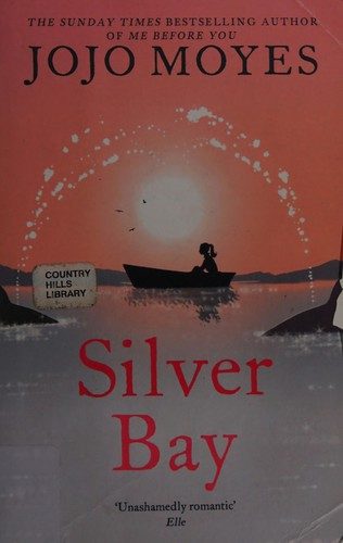 Cover of Silver Bay