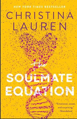 Cover of Soulmate Equation