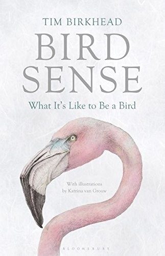 Cover of Bird Sense