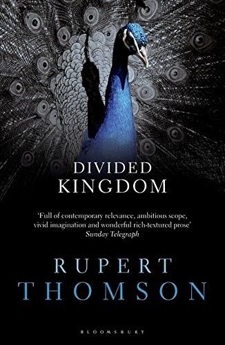 Cover of Divided Kingdom