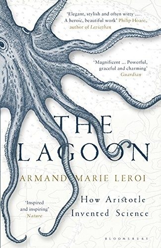 Cover of Lagoon