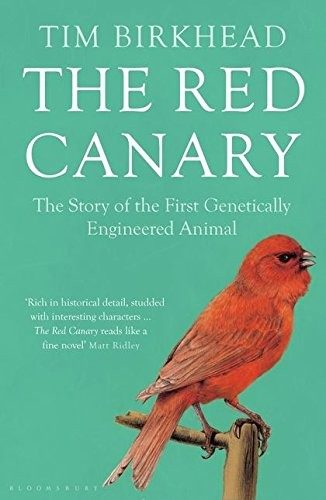 Cover of The red canary
