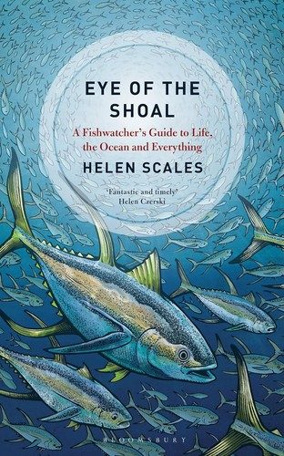 Cover of Eye of the shoal