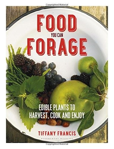 Cover of Food You Can Forage