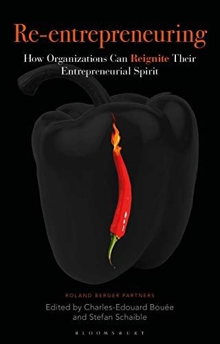 Cover of Re-Entrepreneuring