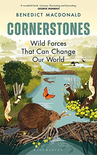 Cover of Cornerstones