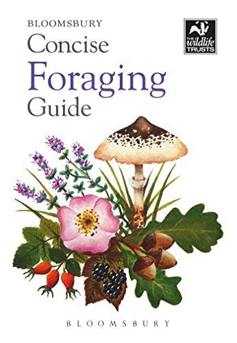 Cover of Concise Foraging Guide