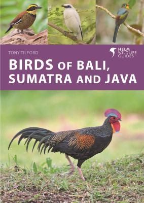 Cover of Birds of Bali, Sumatra and Java