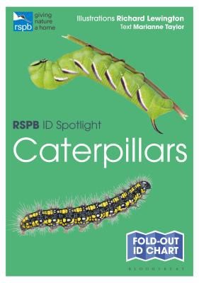 Cover of RSPB ID Spotlight - Caterpillars