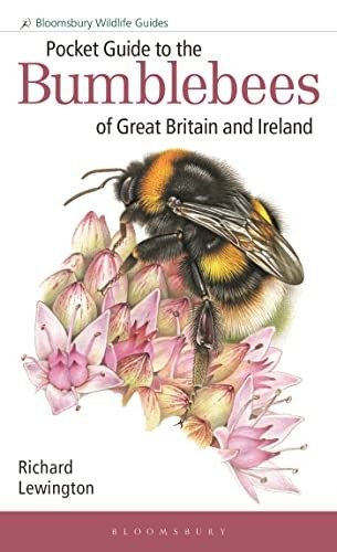 Cover of Pocket Guide to the Bumblebees of Great Britain and Ireland