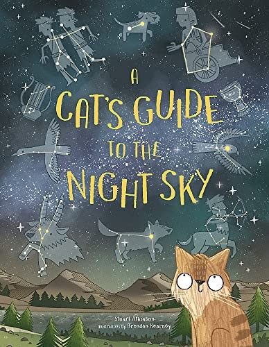 Cover of Cat's Guide to the Night Sky