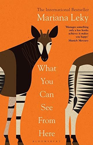 Cover of What You Can See From Here