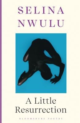 Cover of Little Resurrection