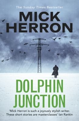 Cover of Dolphin Junction