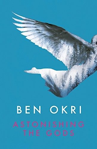 Cover of Astonishing the Gods