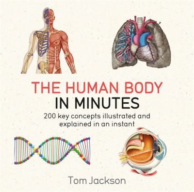 Cover of The human body in minutes