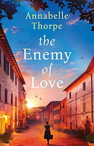 Cover of The Enemy of Love